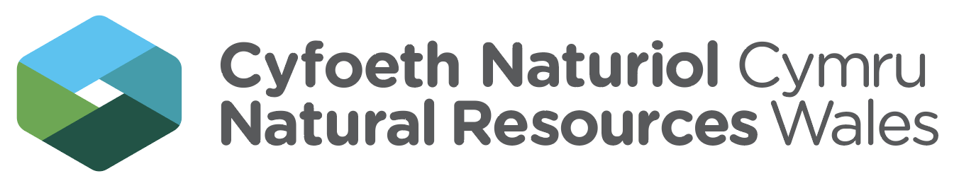Natural Resource Wales logo. A diamond with light blue, dark blue, light green and dark green intertwined next to the black words 